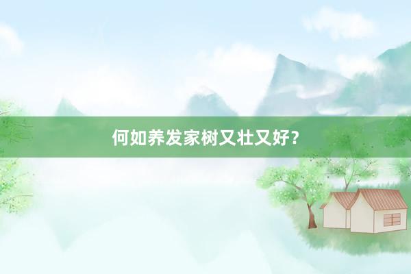 何如养发家树又壮又好？